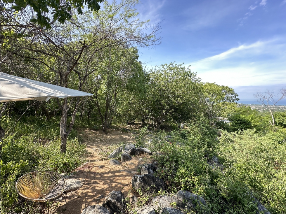 VENTA LOTE RURAL VEREDA EL LIMON 2000 M2 — foto 3