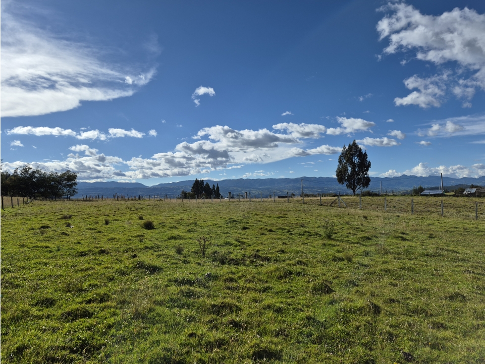 VENTA DE LOTE EN VEREDA SIATOCA SECTOR EL PINO CHIVATA - 1