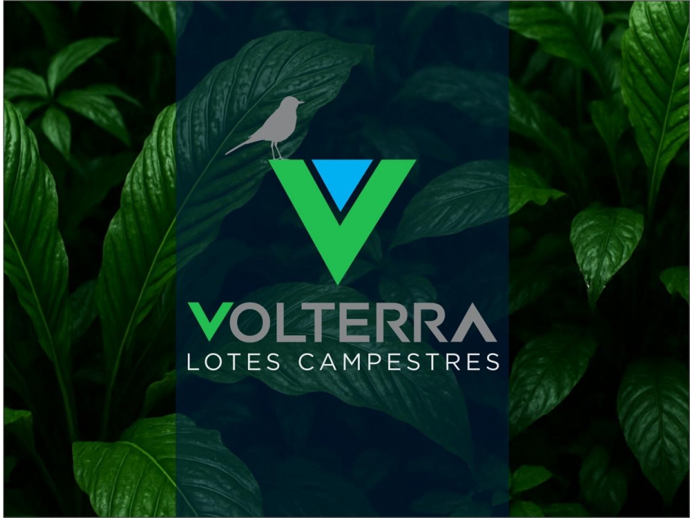VENTA LOTES CAMPESTRES ACACIAS - 1