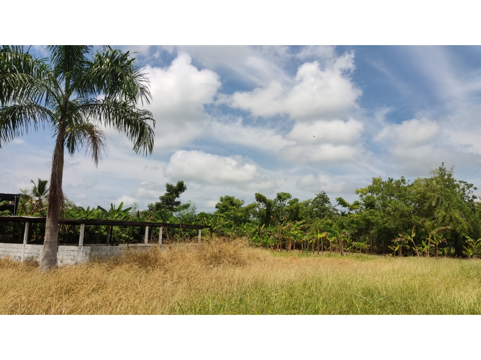 VENTA- LOTE TERRENO-GARZONES -MONTERIA