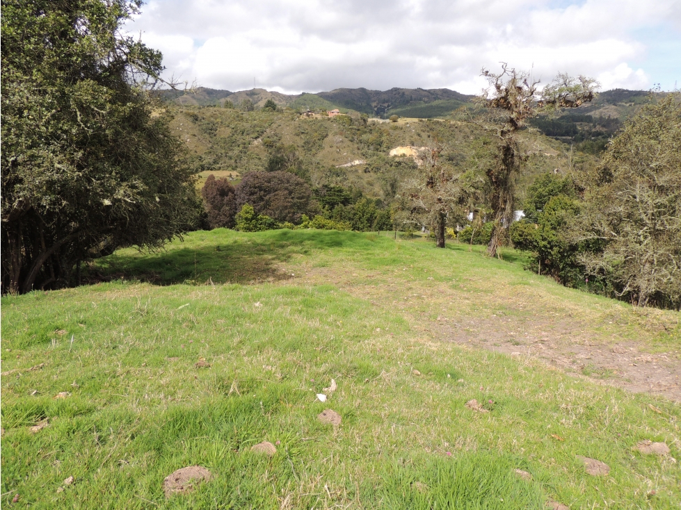 VENDO LOTE VDA.EL HATO -Via La Calera - 4