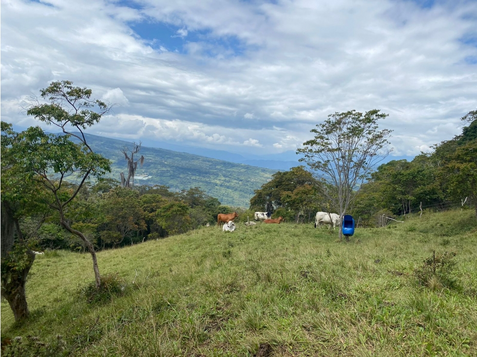 VENTA DE FINCA VEREDA NOVILLERO MONIQUIRA - 5
