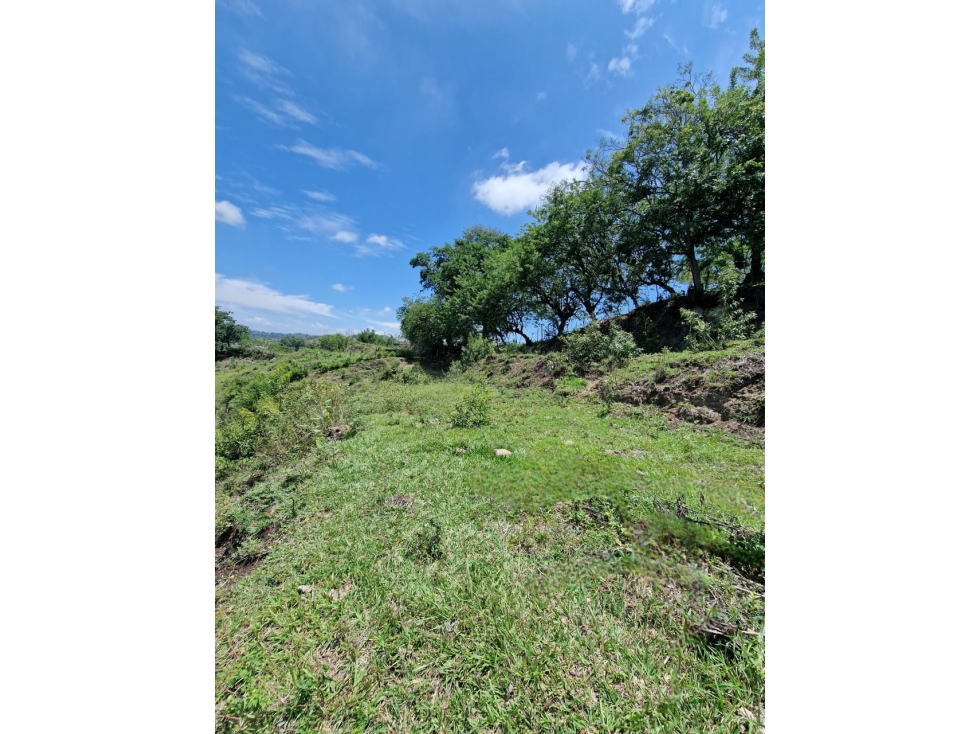 Venta de hermoso lote campestre en Cartago - Valle - 4