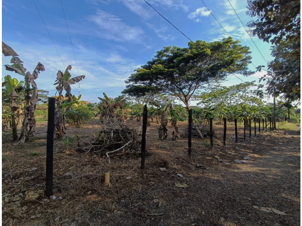 VENTA LOTE CAMPESTRE UBICADO A POCOS MINUTOS DE MONTERÍA — foto 4