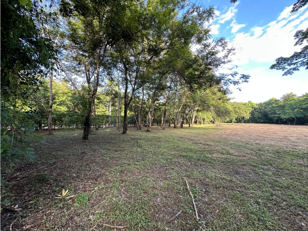 VENTA LOTE EN RESERVA ECOLOGICA EL PASO VIA GIRARDOT TOCAIMA - 4