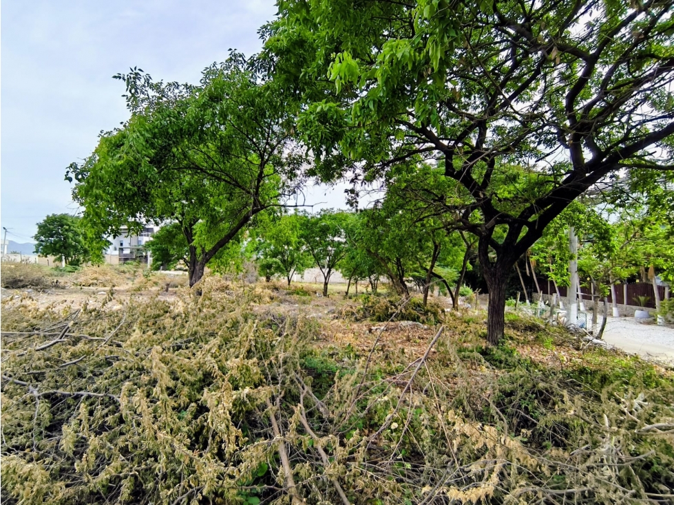 SE VENDE LOTE CERCA DE LA PLAYA BELLO HORIZONTE SANTA MARTA - J.V — foto 6