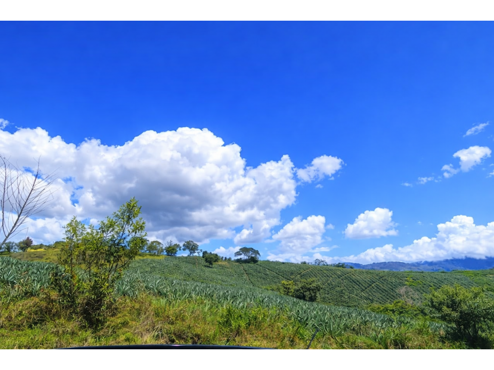 SE VENDE LOTE EN EL KM 34 VÍA CALI - QUEREMAL — foto 4
