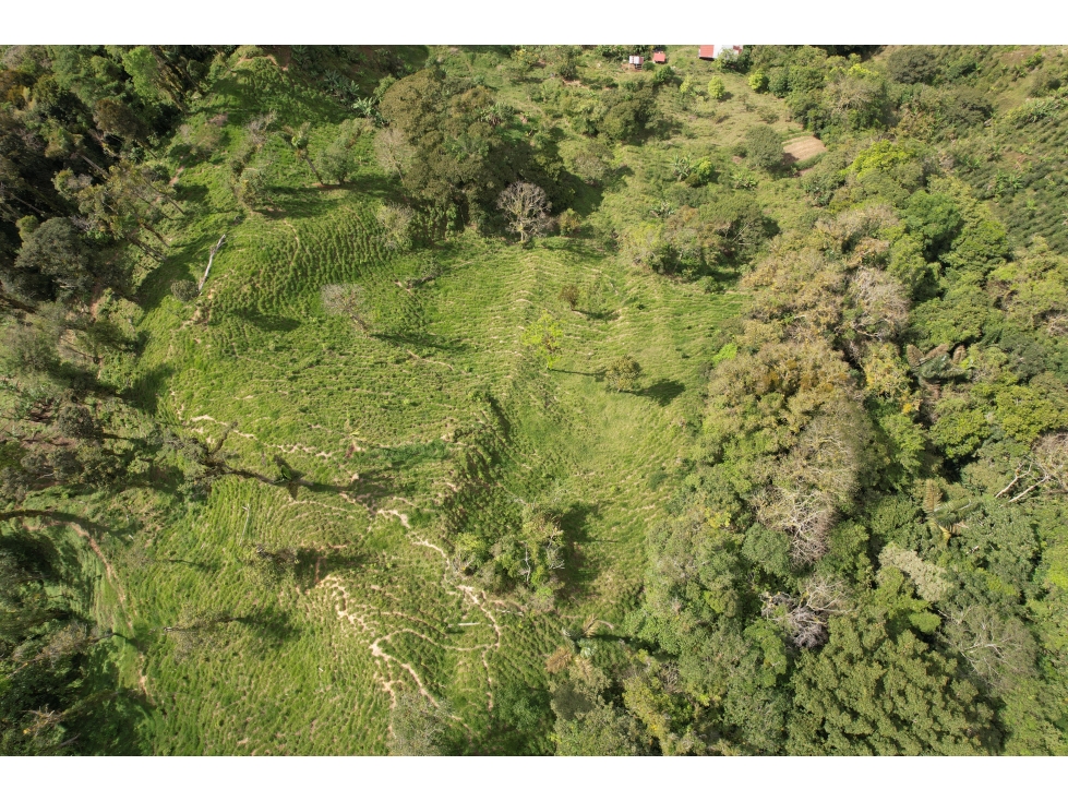VENTA FINCA SECTOR LA TAGUA SANTA MARTA H.I — foto 4