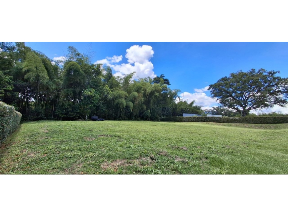 VENTA ESPECACULAR LOTE PLANO CERRITOS — foto 4