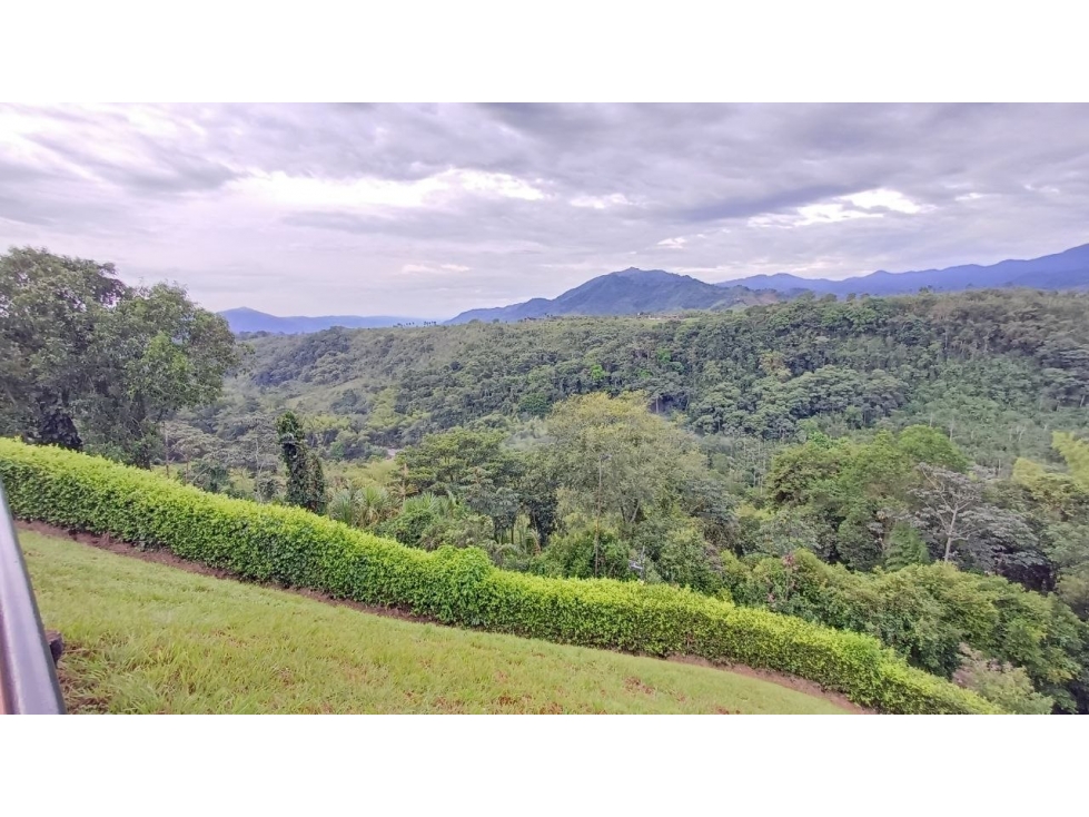 LOTE CERRITOS PEREIRA — foto 4