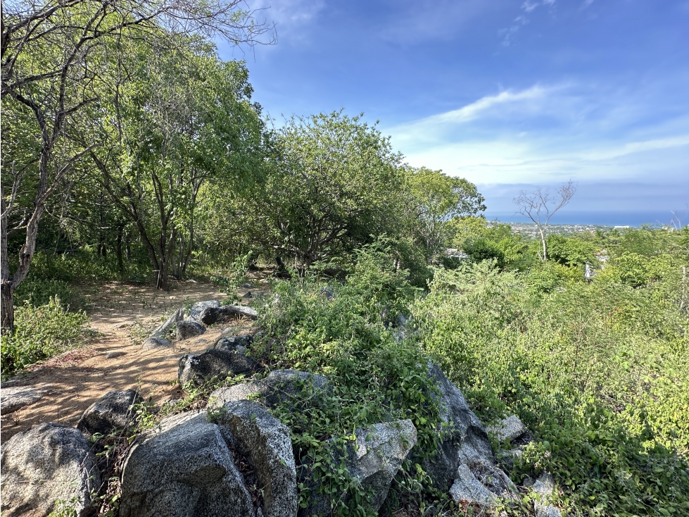 VENTA LOTE RURAL VEREDA EL LIMON 2000 M2 — foto 4