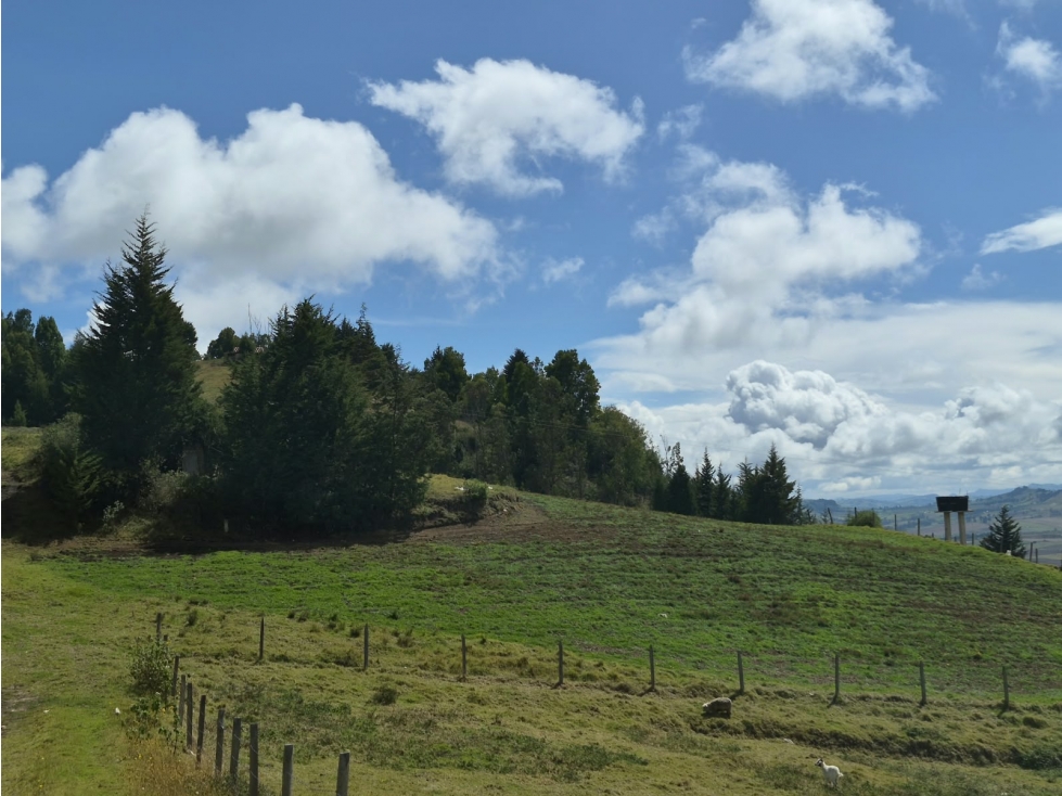 VENTA DE LOTE A OCHO MINUTOS DE CHIVATA - 4