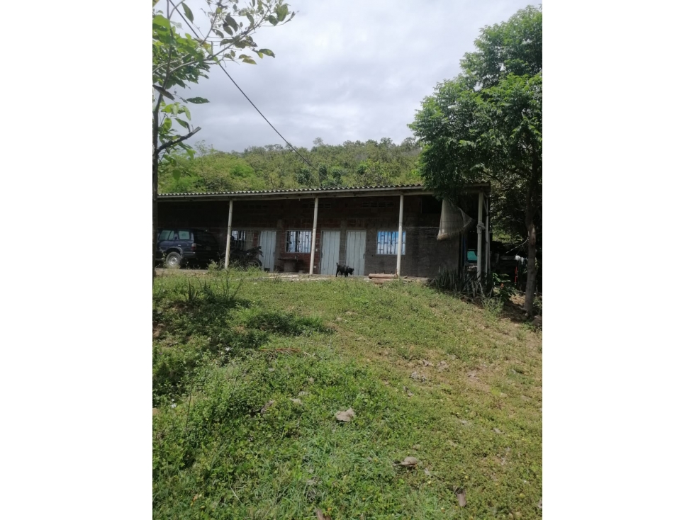 VENTA DE FINCA VEREDA PALMA ALTA TOLIMA - 3