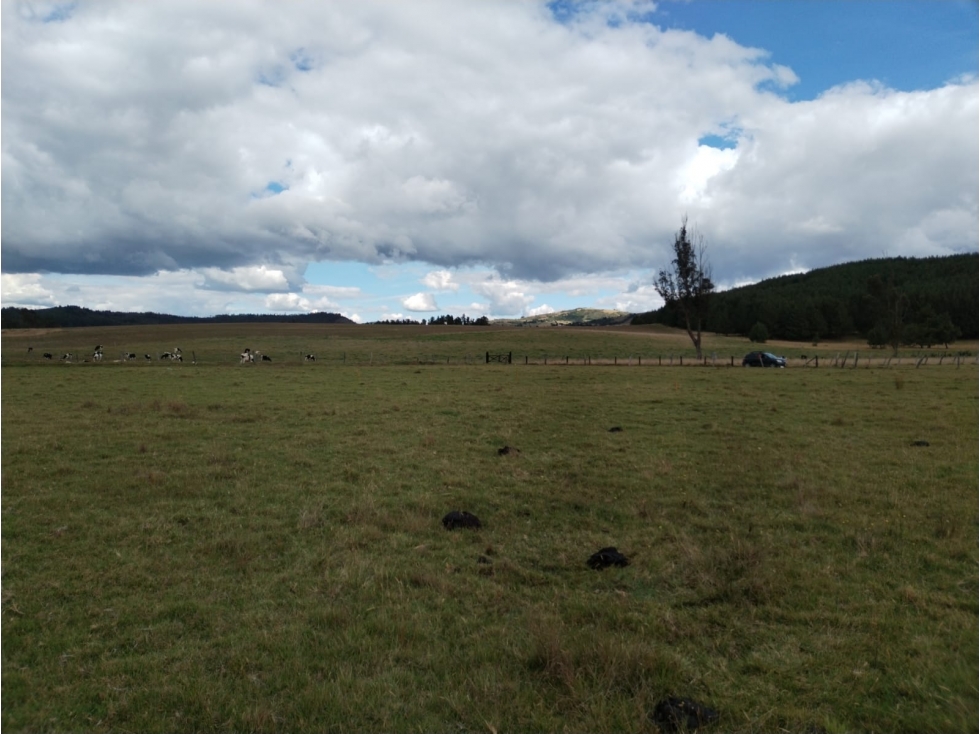 VENTA DE LOTE VEREDA FORANTIVA OICATA - 5
