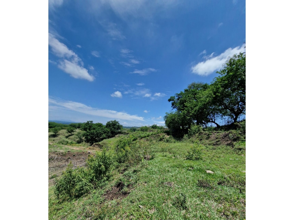 Venta de hermoso lote campestre en Cartago - Valle - 5