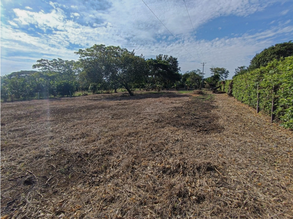 VENTA LOTE CAMPESTRE UBICADO A POCOS MINUTOS DE MONTERÍA — foto 5