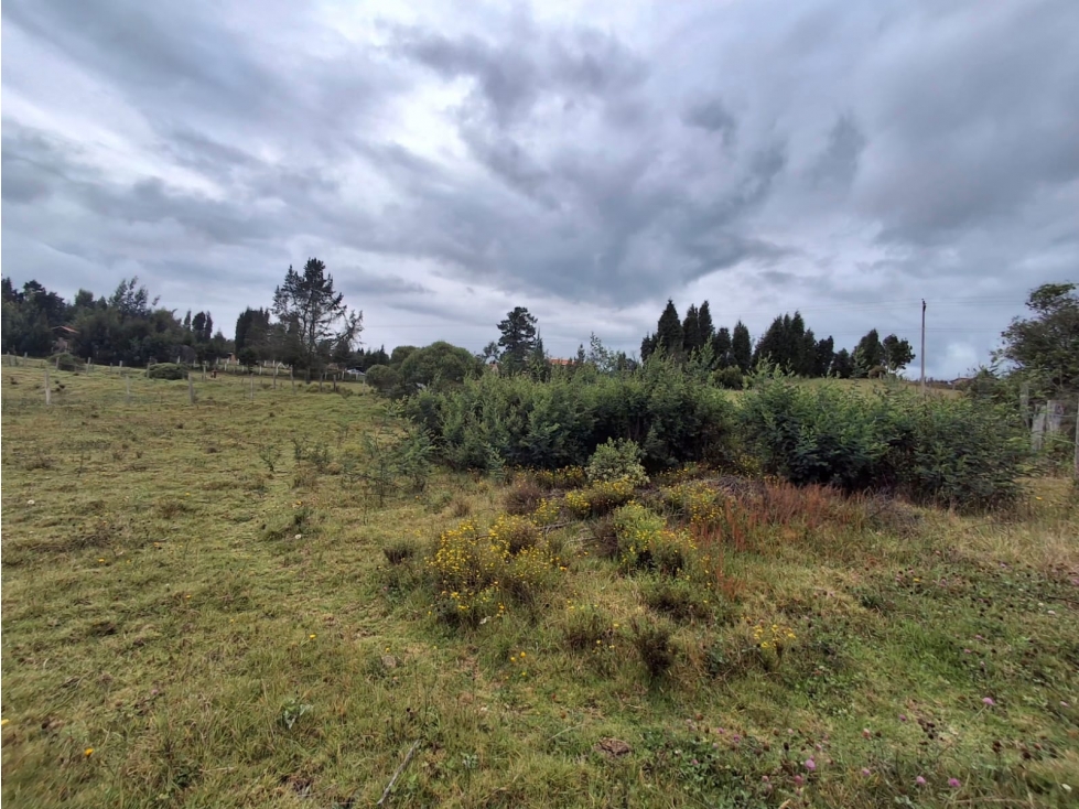 VENTA DE LOTE OICATA SOBRE LA DOBLE CALZADA PAIPA-TUNJA - 5