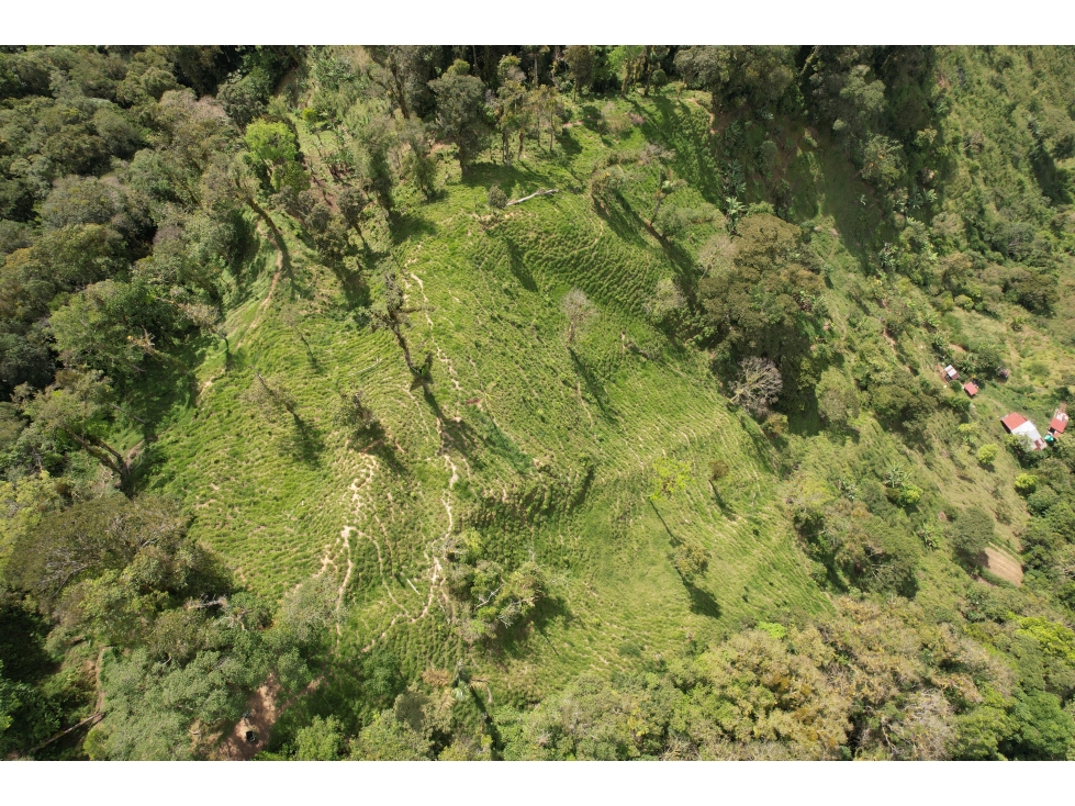 VENTA FINCA SECTOR LA TAGUA SANTA MARTA H.I — foto 5