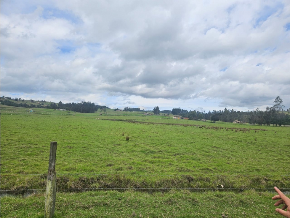 VENTA DE LOTE VEREDA FORANTIVA OICATA - 6