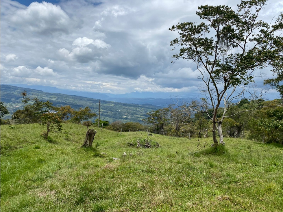 VENTA DE FINCA VEREDA NOVILLERO MONIQUIRA - 6