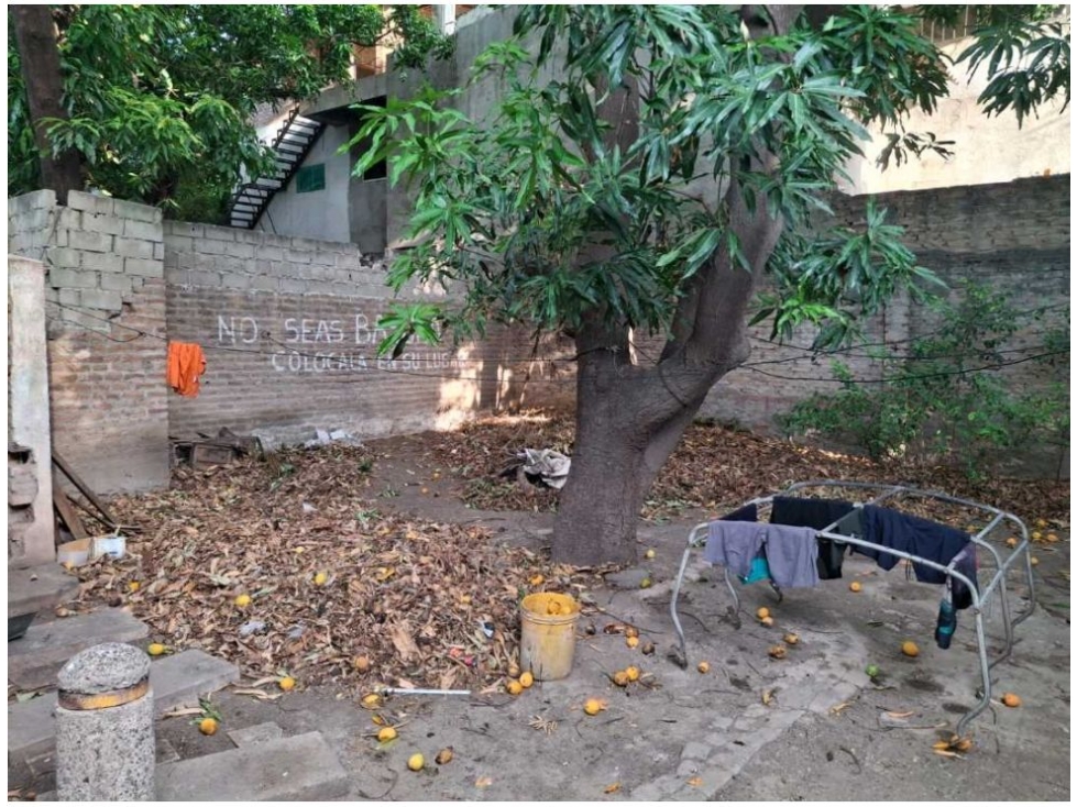 VENTA LOTE ESQUINERO ALCÁZARES SANTA MARTA L.C — foto 6