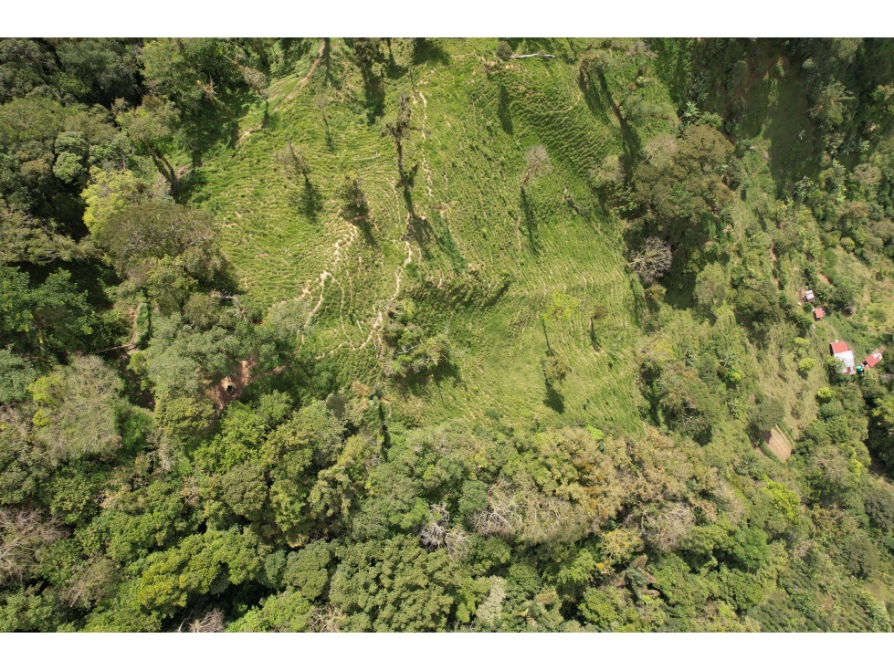VENTA FINCA SECTOR LA TAGUA SANTA MARTA H.I — foto 6
