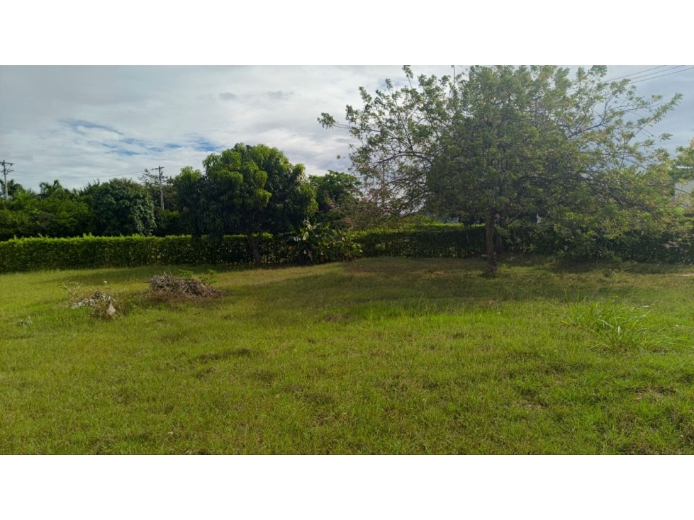 VENTA LOTE DE 1200 METROS CUADRADOS, PARA LA CASA DE TUS SUEÑOS — foto 6