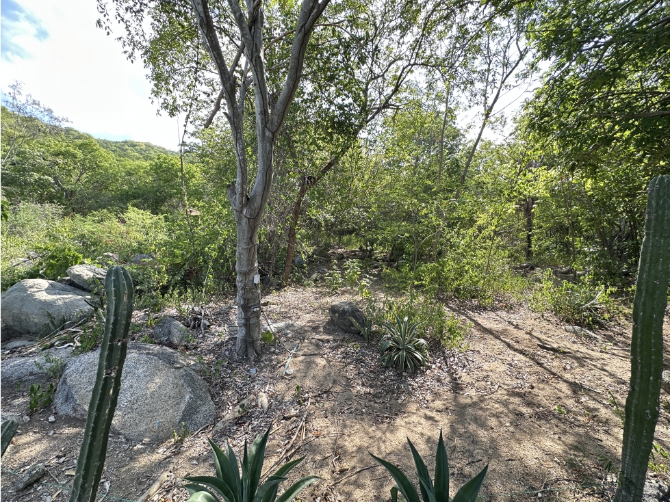 VENTA LOTE RURAL VEREDA EL LIMON 2000 M2 — foto 6