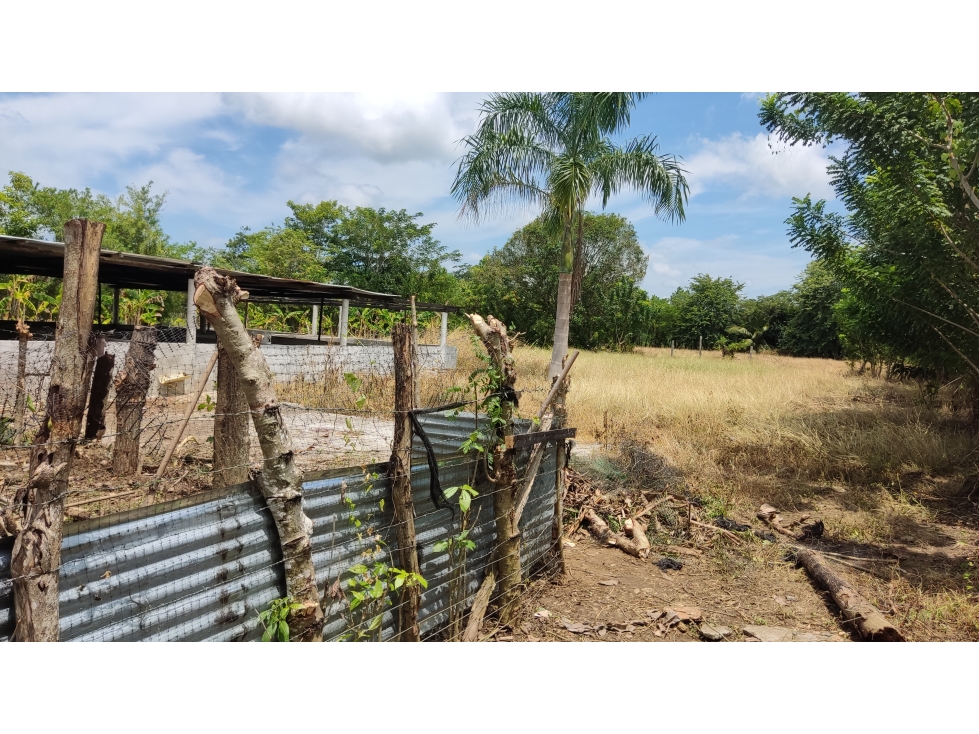 VENTA- LOTE TERRENO-GARZONES -MONTERIA — foto 5