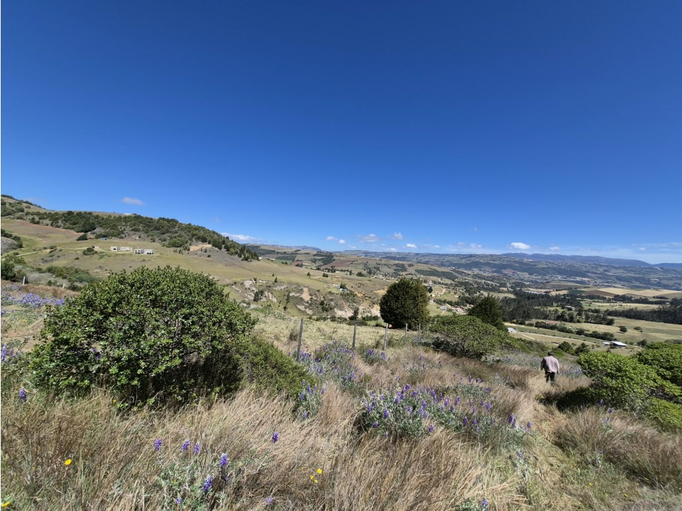 VENTA DE LOTE A OCHO MINUTOS DE CHIVATA - 4
