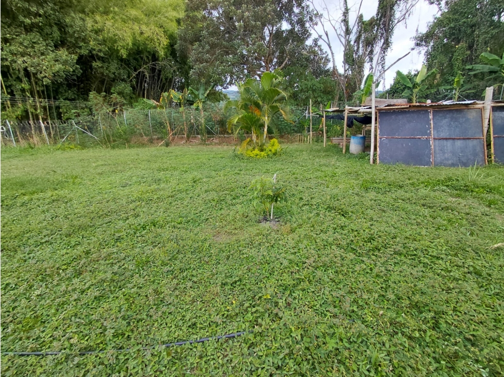 VENTA DE LOTE: TU PARAISO CAMPESTRE EN GUADUALES DE ACAPULCO" - 2