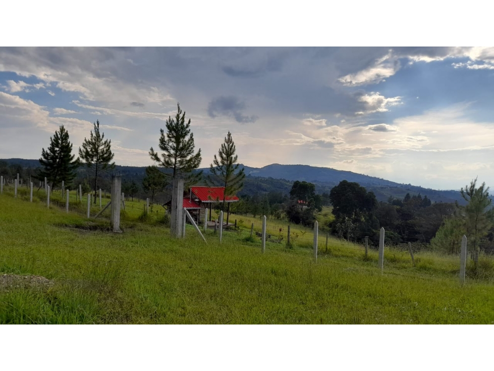 VENTA DE PARCELA EN LA REJOYA - 2