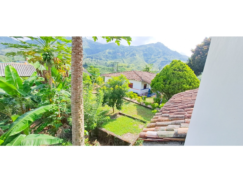 VENTA FINCA - COMBIA - PEREIRA — foto 4