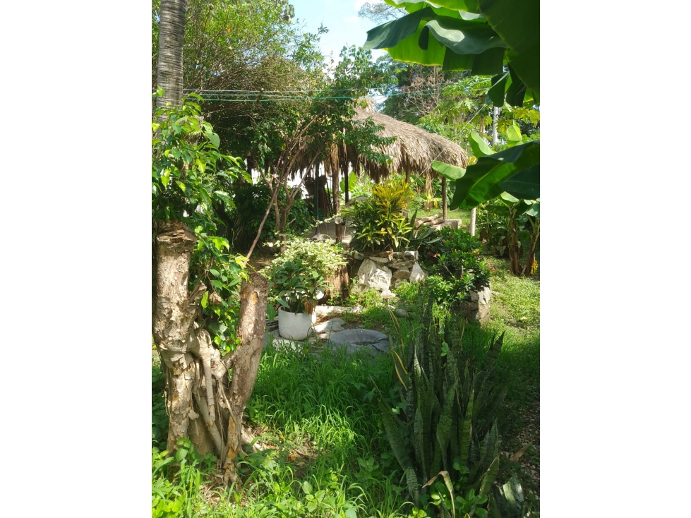 VENTA CABAÑA EN PUERTO MOSQUITO GAIRA SANTA MARTA - E.C. — foto 5