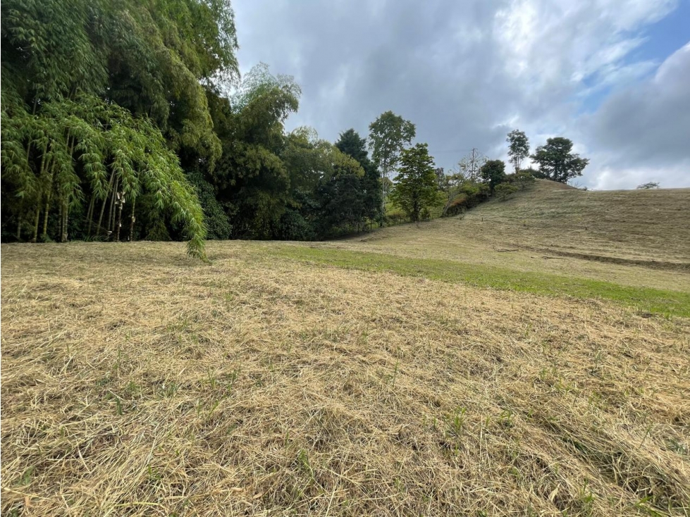 VENTA LOTE CONDINA — foto 6