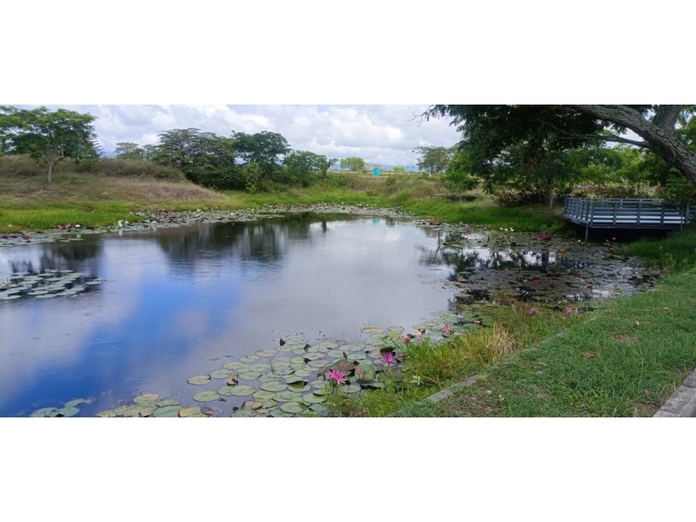 VENTA DE LOTE EN AMBORCO, PALERMO — foto 2