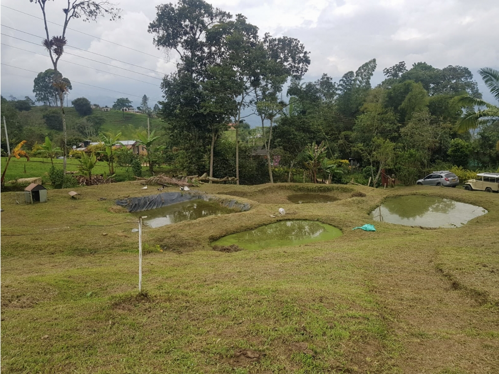 Venta Finca Yayata Silvania - 6