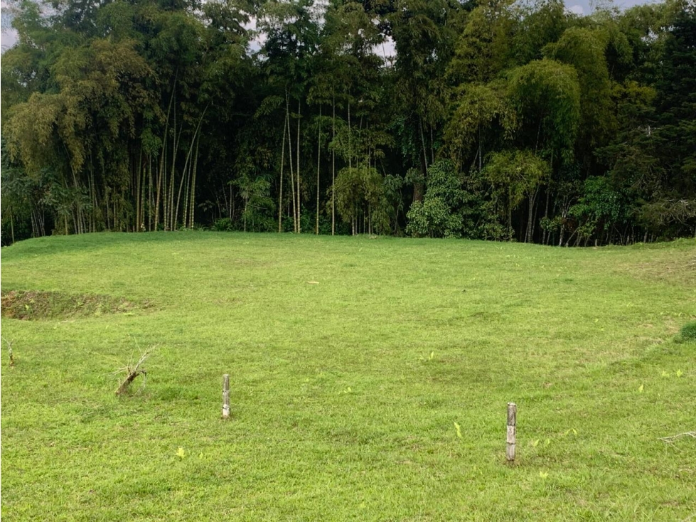 VENTA LOTE CONDINA