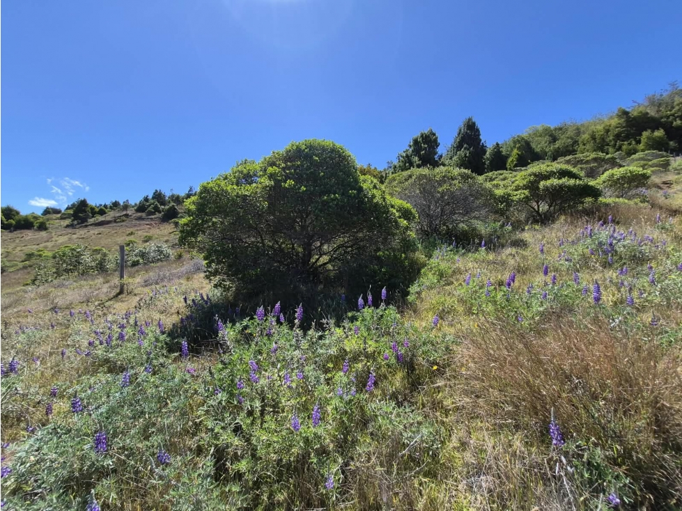 VENTA DE LOTE A OCHO MINUTOS DE CHIVATA - 6