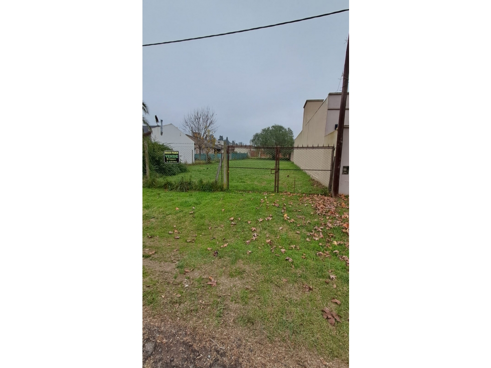 Lote — foto 2