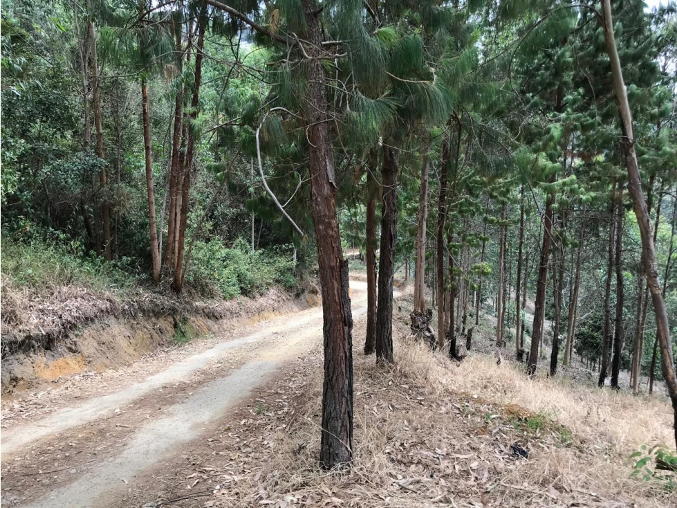 Venta de Lote en Copacabana
