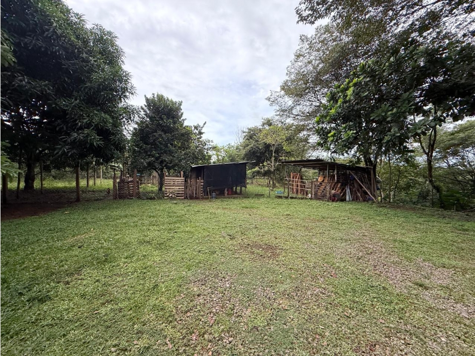 Venta de finca en Balita, Tinajas, Chiriquí - 4
