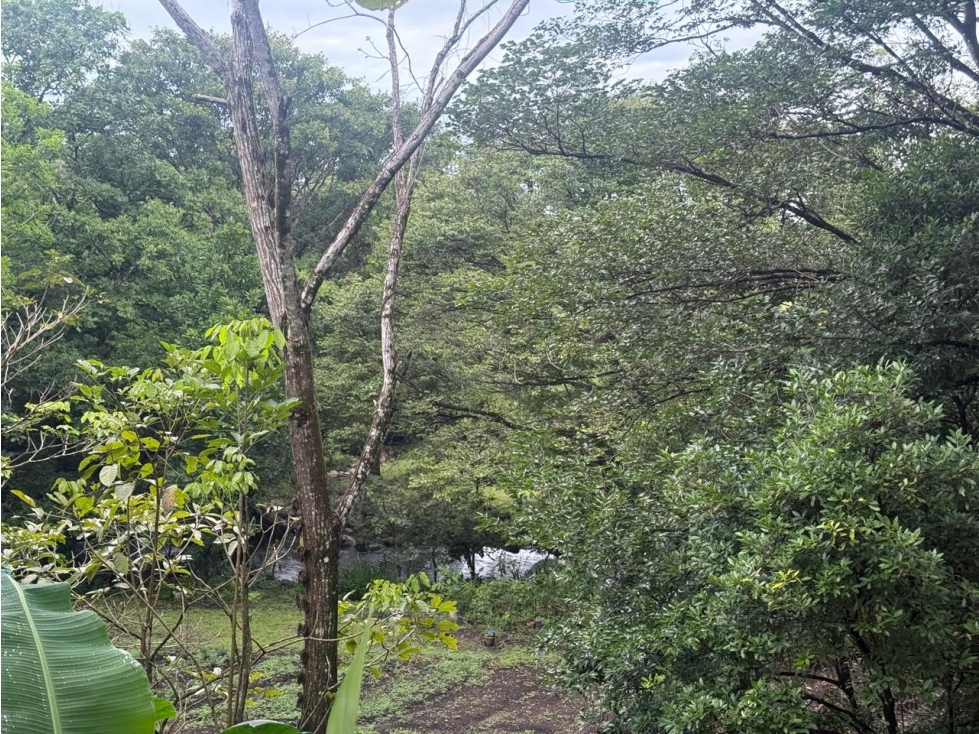 Venta de finca en Balita, Tinajas, Chiriquí - 5