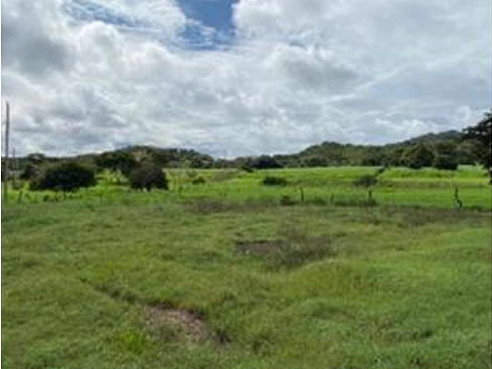 Se vende Finca en Rio Grande, Penonome - 3