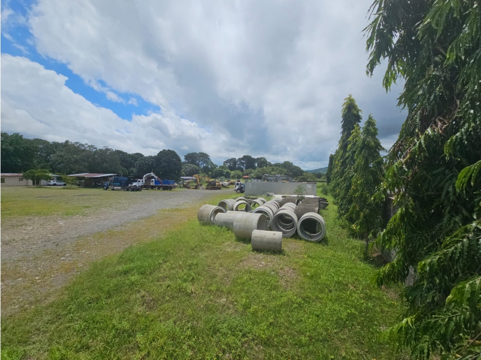 Venta de terreno con oficina en vía interamericana, David, San Pablo - 4