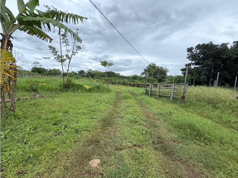 Venta de finca en Balita, Tinajas, Chiriquí - 3