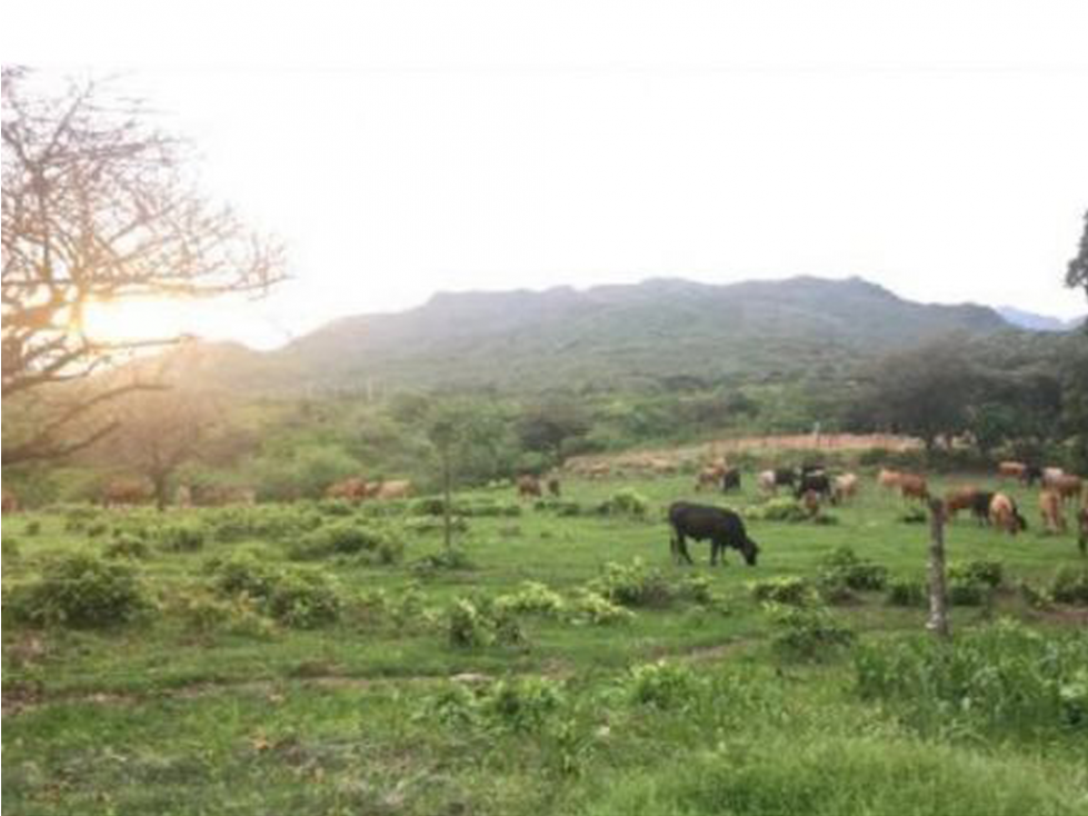 Se vende Finca en Rio Grande, Penonome - 2