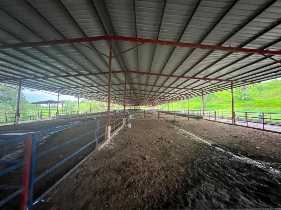 VENTA FINCA EN VERAGUAS PONUGA, LA MARIA - 5