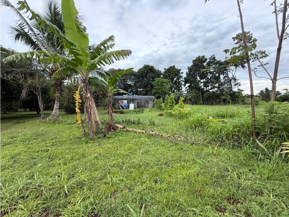 Venta de finca en Balita, Tinajas, Chiriquí - 2