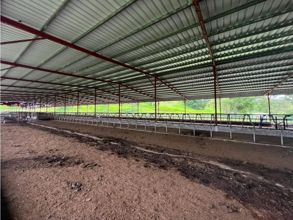 VENTA FINCA EN VERAGUAS PONUGA, LA MARIA - 6